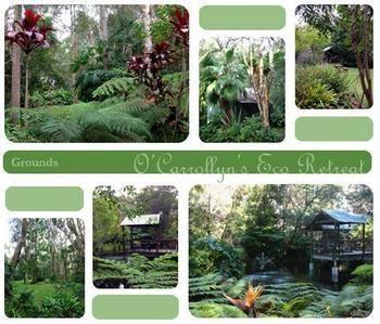 The Oasis At One Mile Beach Apartment Anna Bay Luaran gambar